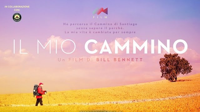 immagine novit� in sala